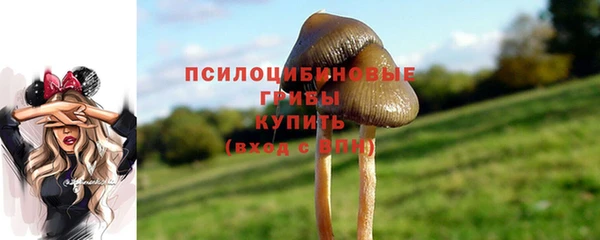прущая мука Богородск