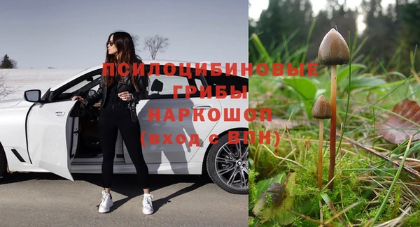 экстази Богданович